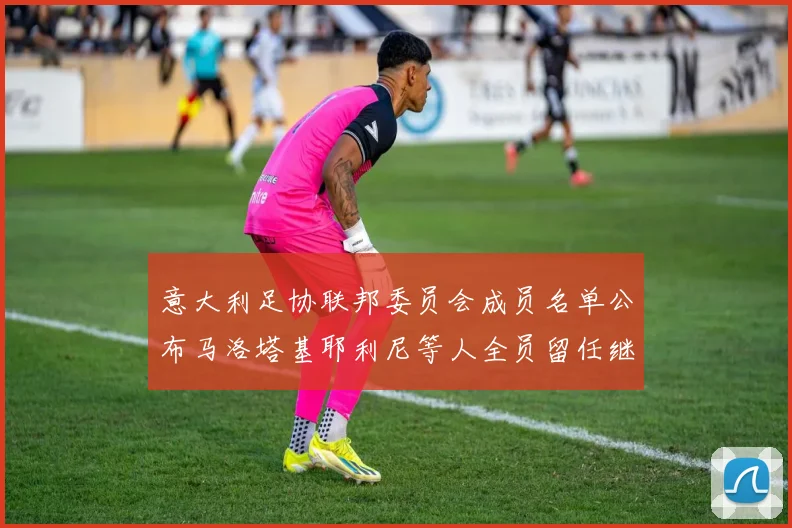 意大利足协联邦委员会成员名单公布马洛塔基耶利尼等人全员留任继续服务