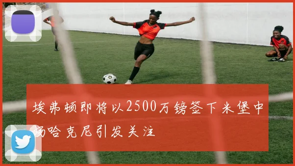 埃弗顿即将以2500万镑签下米堡中场哈克尼引发关注